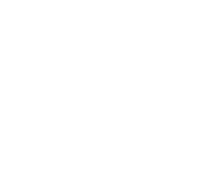 MISSION, Customer Satisfaction Ownership Forward Outlook, VIEW