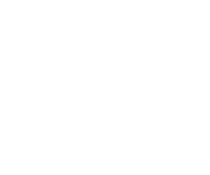 CORE COMPETENCY, Coverage Resource System Experience, VIEW