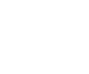 SERVICE PROCESS, Center Service Onsite Service DISTRIBUTION/DELIVERY, VIEW