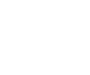 OUR PARTNERS, Global Clients, Domestic Clients, VIEW